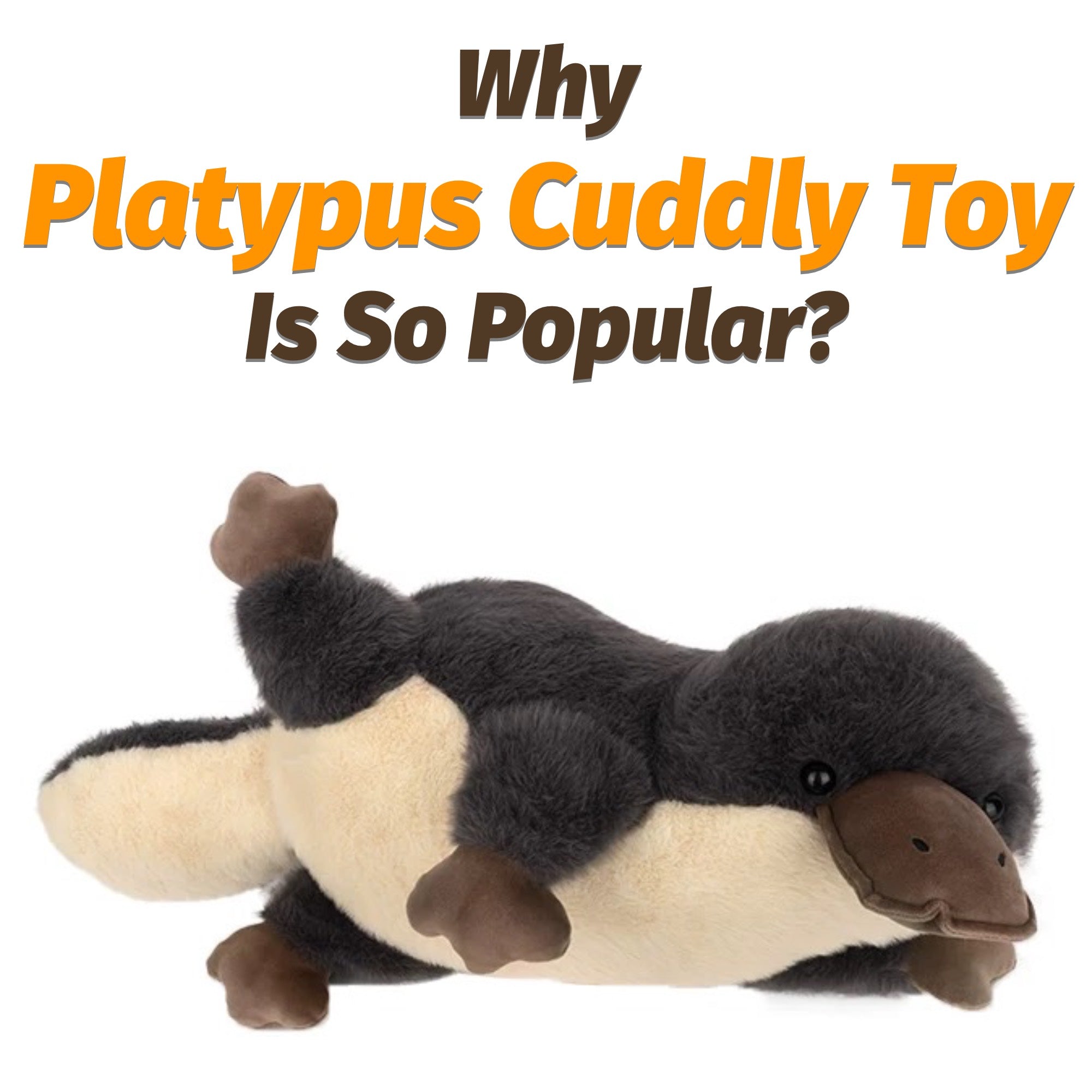 why platypus cuddly toy is so popular?