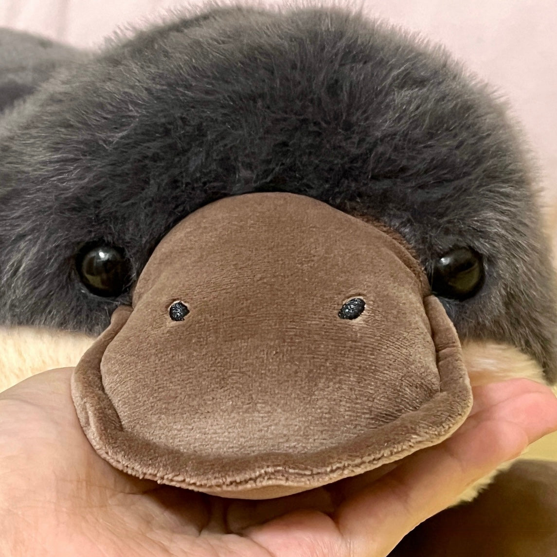 Platypus Plush Toy, Adorable and Soft stuffed Toy